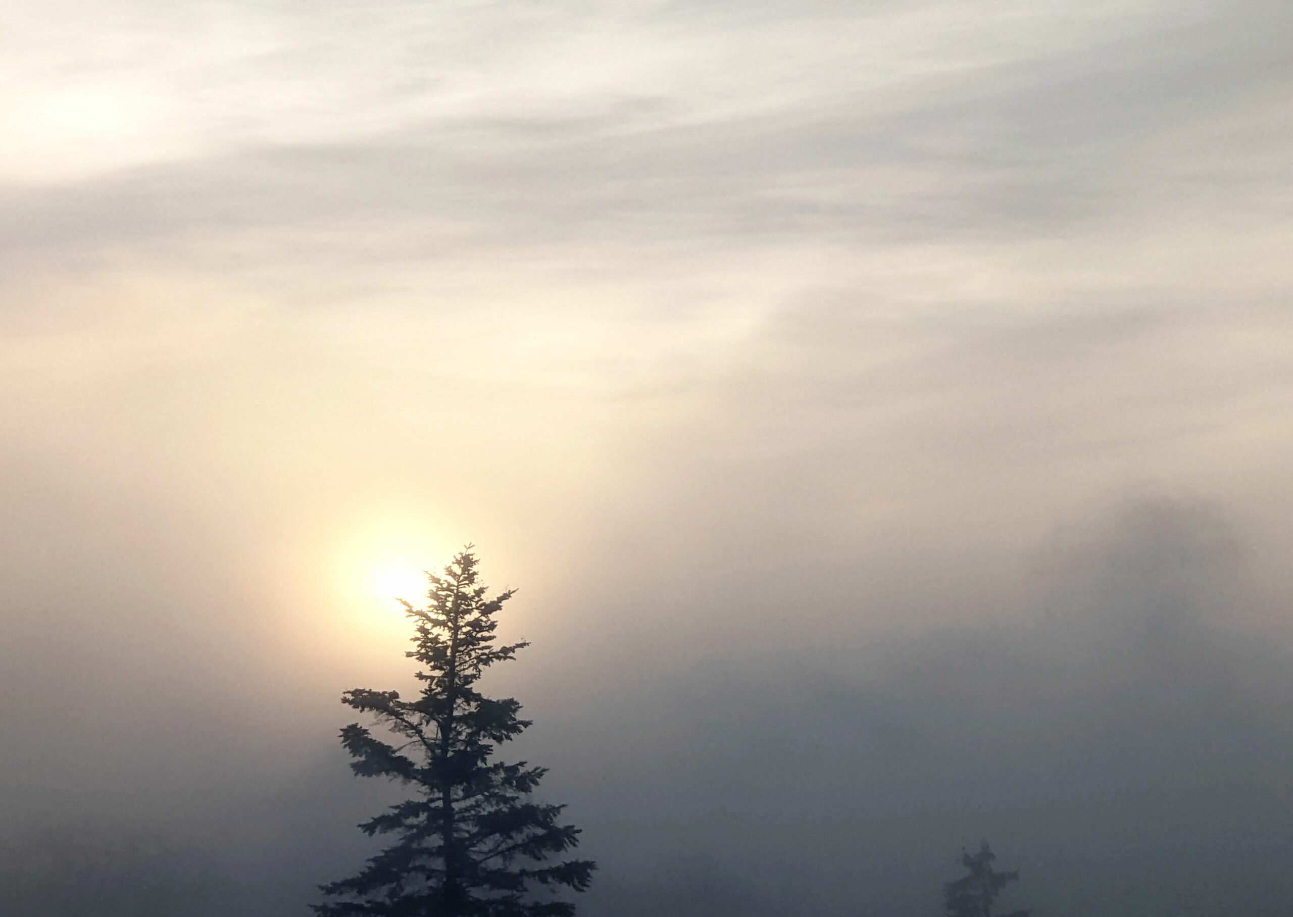 Jahreswechsel im Naturlicht